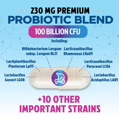 Probiotics for Digestive Gut Health - 100 Billion CFU Per Capsule, 16 Premium Strains & Prebiotics - Best Probiotics for Women & Men, Occasional Constipation - PrimeBioHealth - canada supplements
