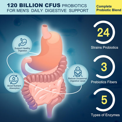 Probiotics for Men Digestive Health, 120 Billion CFUs Mens Probiotic with Digestive Enzymes & Prebiotics & Saw Palmetto & Cranberry for Gut, Prostate & Urinary Tract Health, Shelf Stable, 90 Capsules - PrimeBioHealth - canada supplements