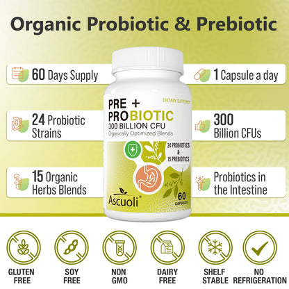 Probiotics for Women & Men - 300 Billion CFU, 24 Strains + 15 Organic Herbs Prebiotics Blend, Daily Probiotic for Digestive Health, Immune, Gut, Bloating - PrimeBioHealth - canada supplements