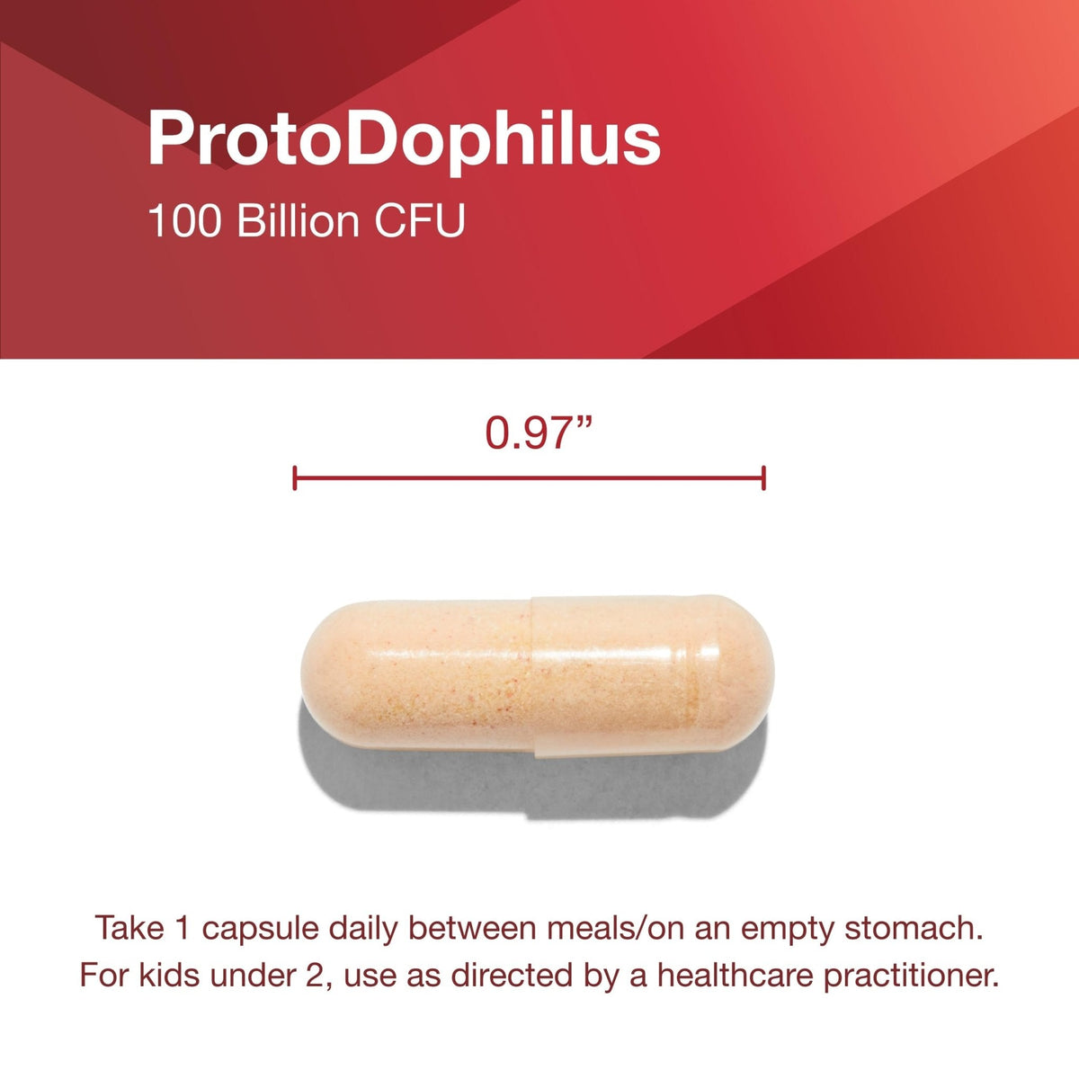 PROTOCOL FOR LIFE BALANCE Proto Dophilus 100 Billion 10 Strains - Support Digestive Gut Health Immune System & Detox - Dairy, Wheat, Soy & Gluten Free - Vegan & Nut Free - 30 Veg Capsules - PrimeBioHealth - canada supplements