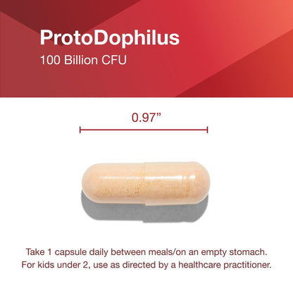 PROTOCOL FOR LIFE BALANCE Proto Dophilus 100 Billion 10 Strains - Support Digestive Gut Health Immune System & Detox - Dairy, Wheat, Soy & Gluten Free - Vegan & Nut Free - 30 Veg Capsules - PrimeBioHealth - canada supplements