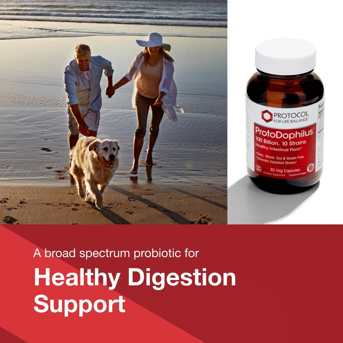 PROTOCOL FOR LIFE BALANCE Proto Dophilus 100 Billion 10 Strains - Support Digestive Gut Health Immune System & Detox - Dairy, Wheat, Soy & Gluten Free - Vegan & Nut Free - 30 Veg Capsules - PrimeBioHealth - canada supplements