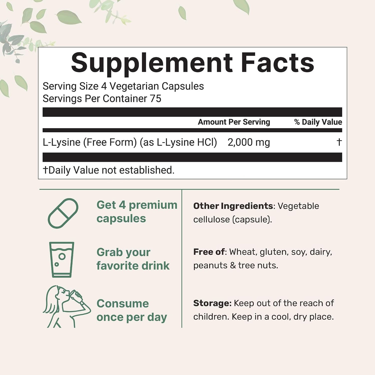 Pure L-Lysine 2,000mg, 300 Veggie Capsules | Maximum Potency, Easily Absorbed, Free Form | Essential Amino Acid for Collagen, Lip, & Immune Support | Clean Ingredients Without Fillers - PrimeBioHealth - canada supplements