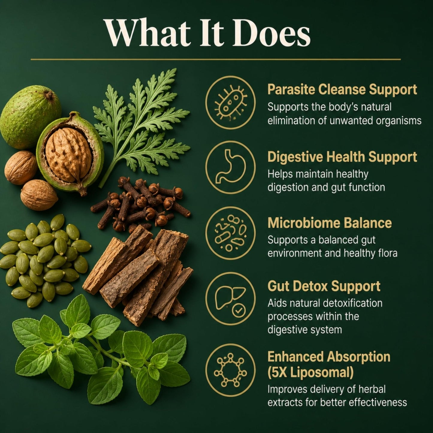 PURETREX Herbal Gut Detox & Cleanse Drops 2 fl oz, Liposomal Dewormer for Humans with Wormwood, Black Walnut, Clove, Pumpkin Seed, PAU D'Arco, Candida - PrimeBioHealth - canada supplements