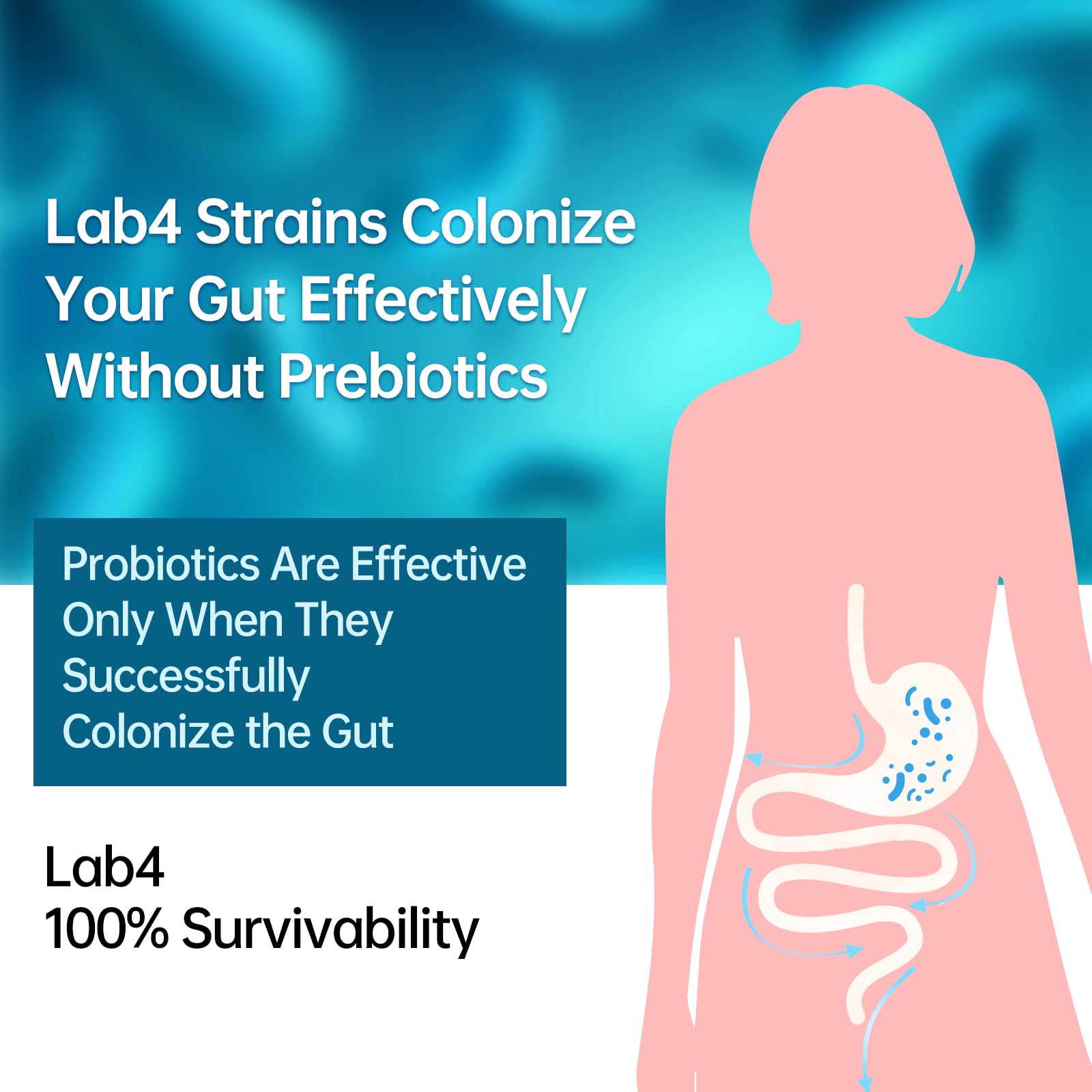purmeo Probiotics for IBS Anti Diarrhea, Gas, Bloating - Support Immune, Digestive & Gut Health - Clinical Proven Lab4 Strains IBS-D Supplement 20 Billion CFU, - PrimeBioHealth - canada supplements