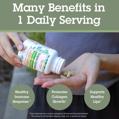 Quantum Health Super Lysine+ / Advanced Formula Lysine+ Immune Support with Vitamin C, Echinacea, Licorice, Propolis, Odorless Garlic (90 Tablets) - PrimeBioHealth - canada supplements