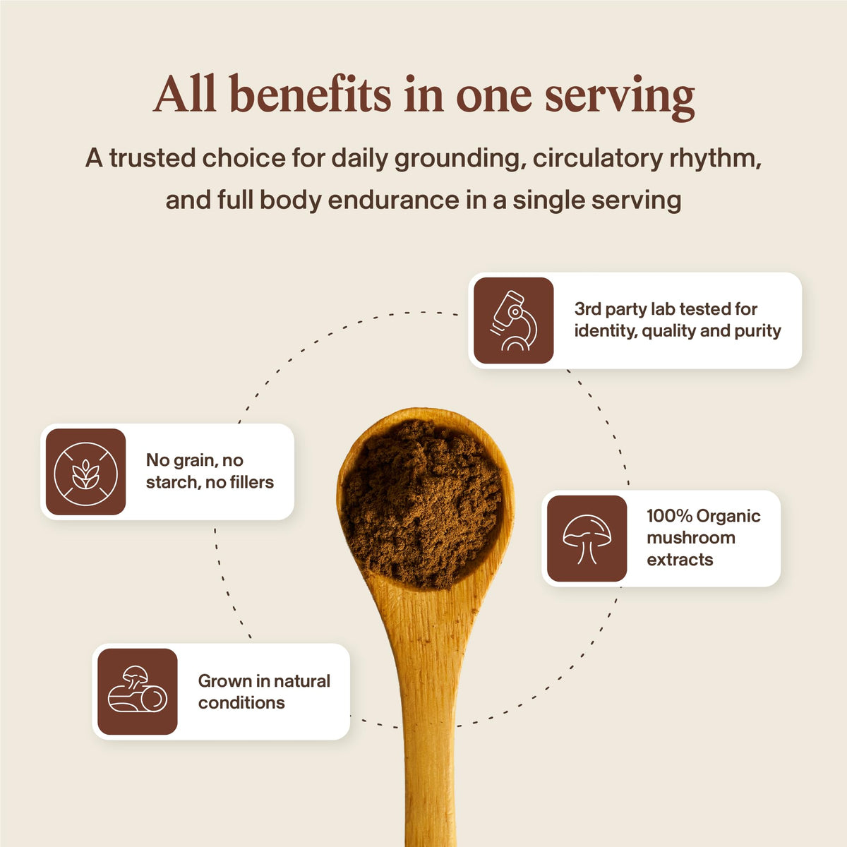 Real Mushrooms Reishi Mushroom Capsules - Handpicked Organic Mushroom Extracts - PrimeBioHealth - canada supplements