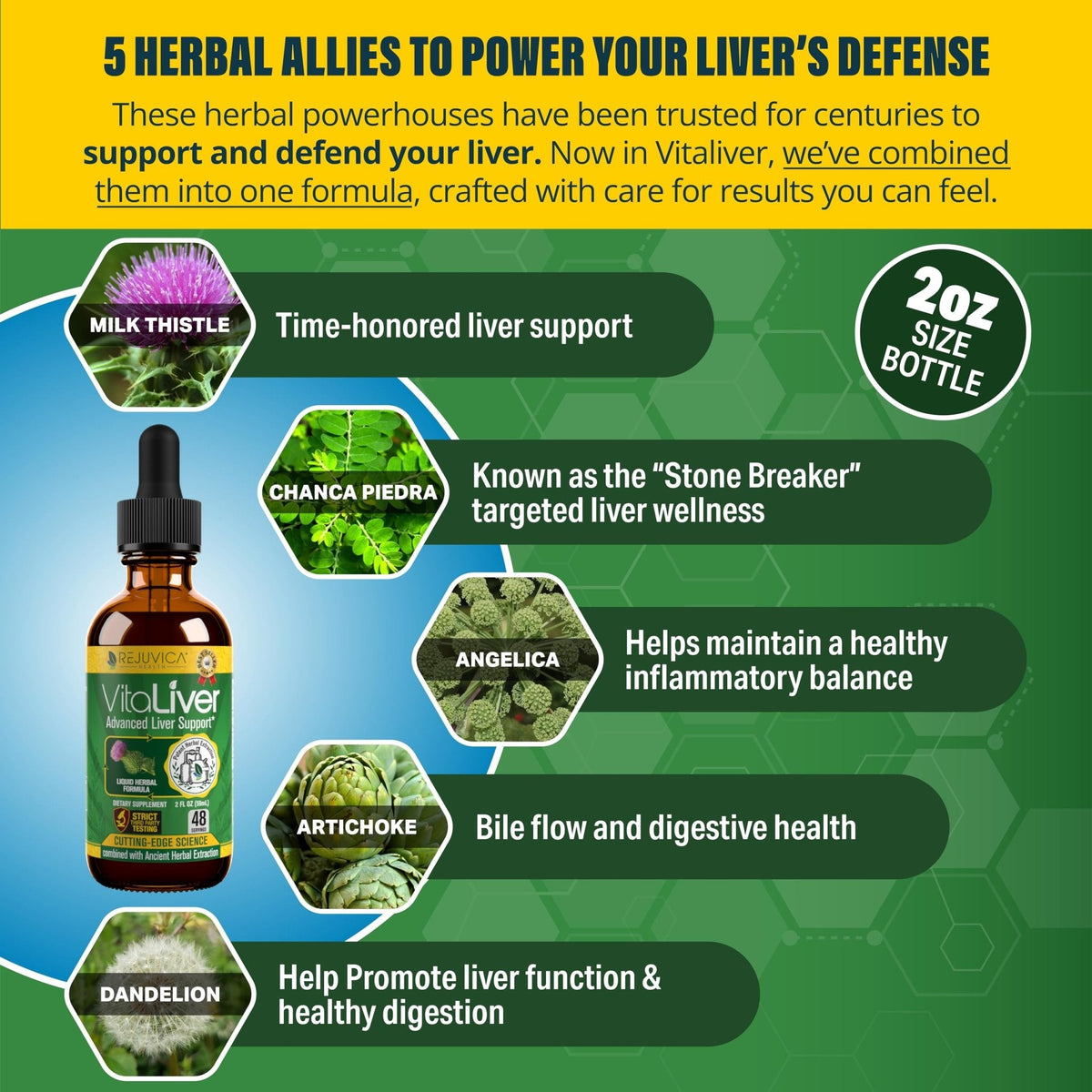 Rejuvica Health VitaLiver | Liver Cleanse & Detox Drops | Milk Thistle, Artichoke, Chanca Piedra & Dandelion Extract | Fatty Liver Support Repair - PrimeBioHealth - canada supplements