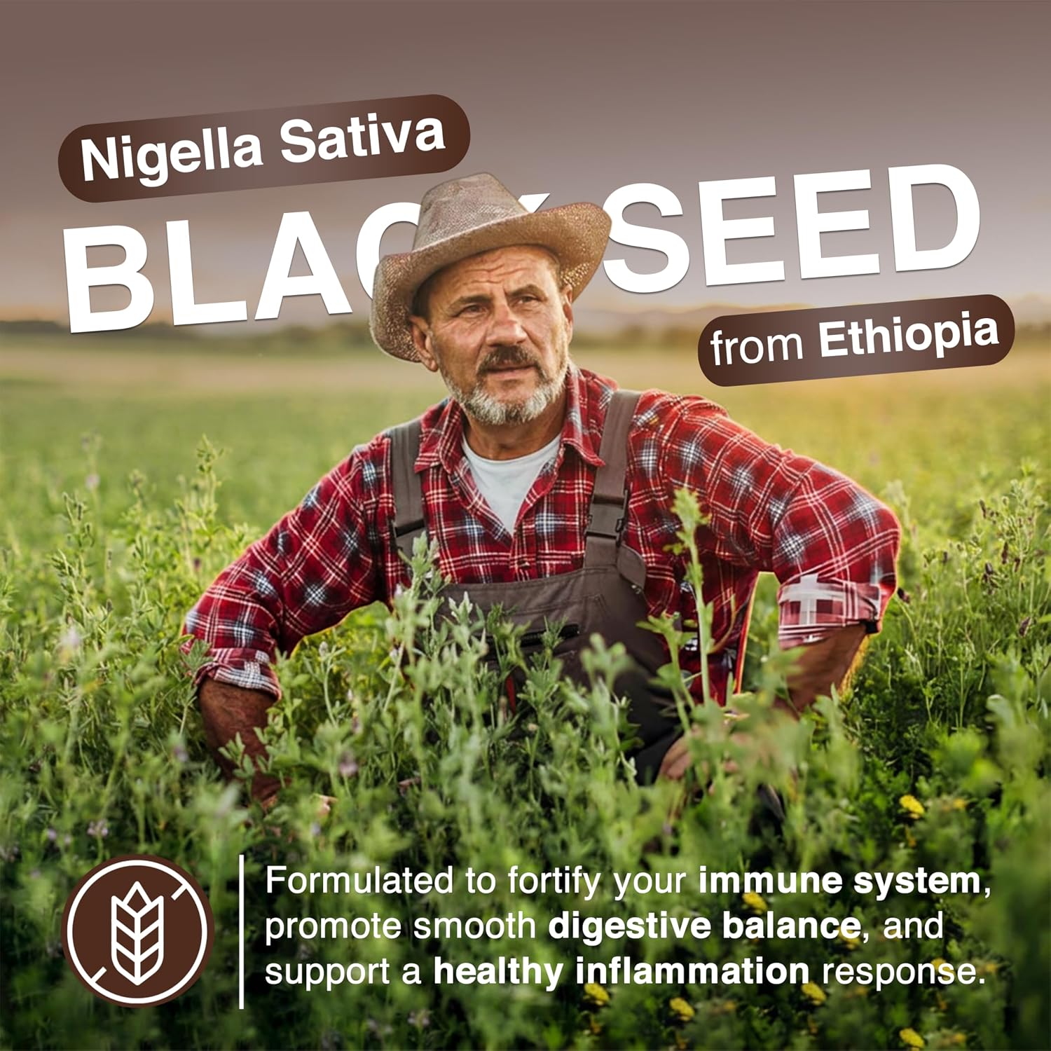 Resilia Ethiopian Black Seed Softgels 1000mg Per Serving – Premium Nigella Sativa Seed Oil Supplement – Digestive & Immune Support Formula – Easy to Swallow Soft Capsules 120 Count (Pack 2) - PrimeBioHealth - canada supplements