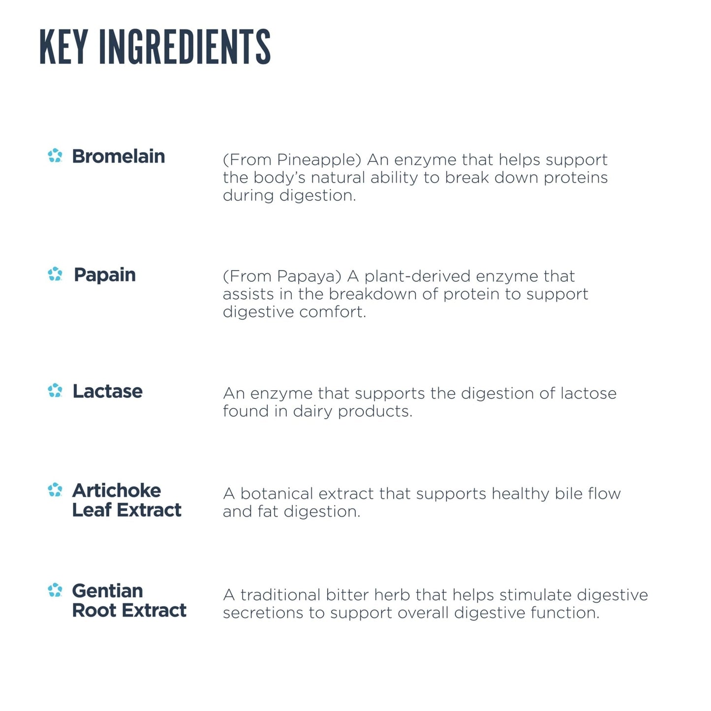 Revive MD Digest Aid, Digestive Support Supplement for Men & Women - Comprehensive Digestive Enzyme Blend with Probiotics & Prebiotics for Gut Health & Healthy Digestion - PrimeBioHealth - canada supplements