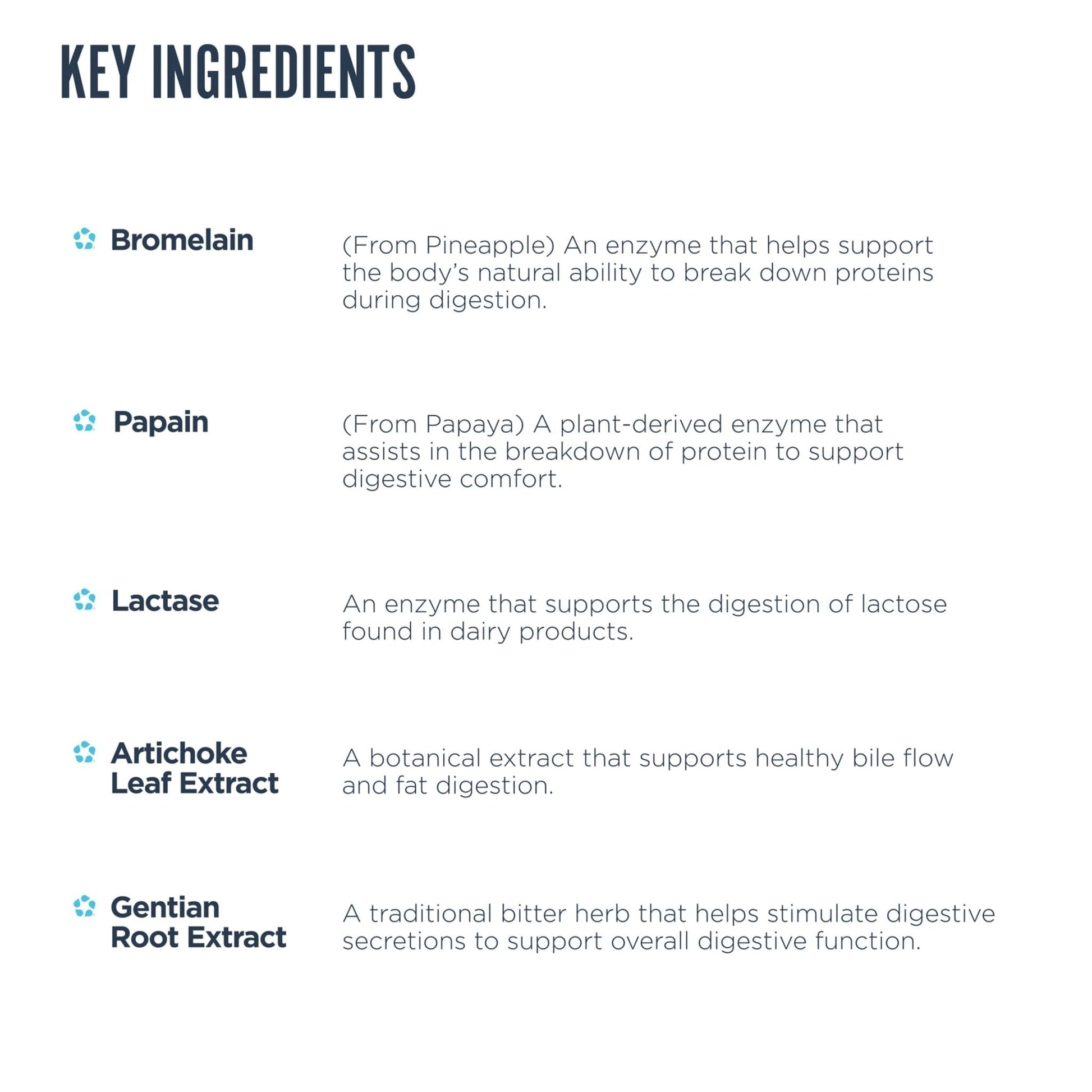 Revive MD Digest Aid, Digestive Support Supplement for Men & Women - Comprehensive Digestive Enzyme Blend with Probiotics & Prebiotics for Gut Health & Healthy Digestion - PrimeBioHealth - canada supplements