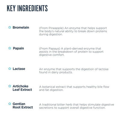 Revive MD Digest Aid, Digestive Support Supplement for Men & Women - Comprehensive Digestive Enzyme Blend with Probiotics & Prebiotics for Gut Health & Healthy Digestion - PrimeBioHealth - canada supplements