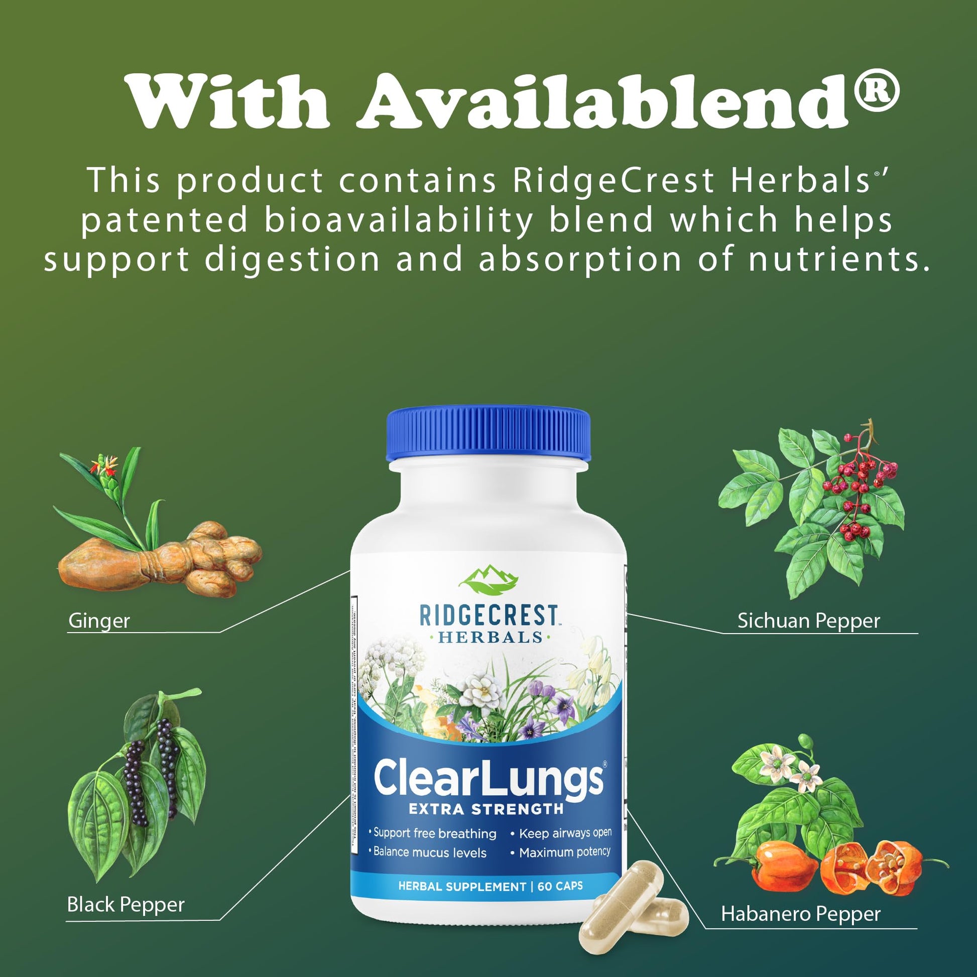 RidgeCrest Herbals ClearLungs Extra Strength, Daily Health Supplement, Natural Lung and Nasal Wellness Formula - PrimeBioHealth - canada supplements