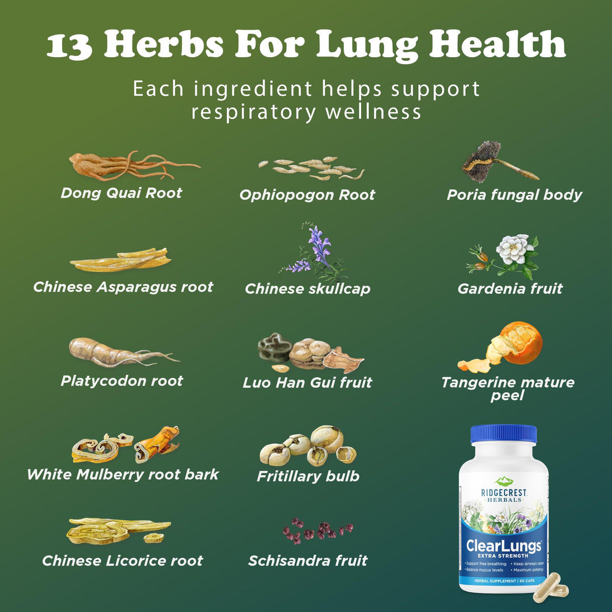 RidgeCrest Herbals ClearLungs Extra Strength, Daily Health Supplement, Natural Lung and Nasal Wellness Formula - PrimeBioHealth - canada supplements