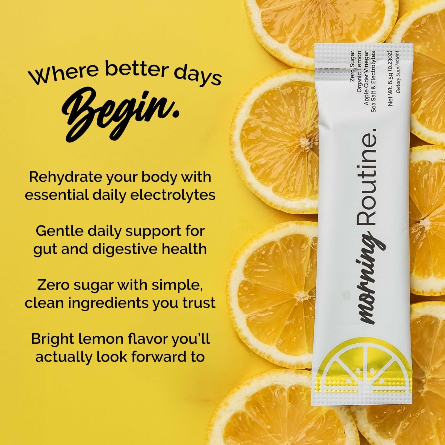 ROUTINE Morning Daily Hydration | Electrolyte Powder Packets | Lemon, Apple Cider Vinegar & Sea Salt Drink Mix | Sugar-Free, Keto & Paleo-Friendly | 3rd-Party - PrimeBioHealth - canada supplements