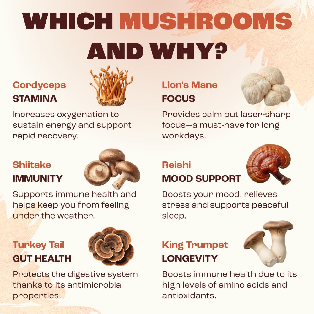 RYZE SUPERFOODS Mushroom Medium Roast Coffee USDA Organic with 6 Adaptogenic Mushrooms, USA Grown Instant Coffee for Better Energy - PrimeBioHealth - canada supplements