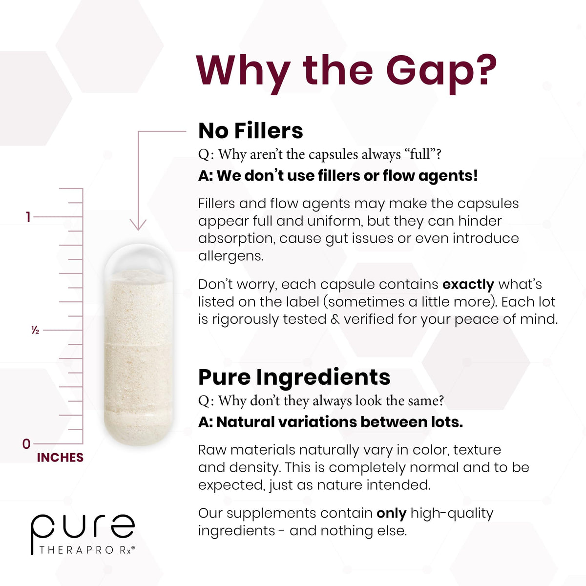 Saccharomyces Boulardii Probiotics 10 Billion CFU Made in USA | No Fillers Patented Strain: Lynside CNCM I-3799 Probiotics for Men and Women | Pure TheraPro Rx, Pharma Grade 120 Count - PrimeBioHealth - canada supplements