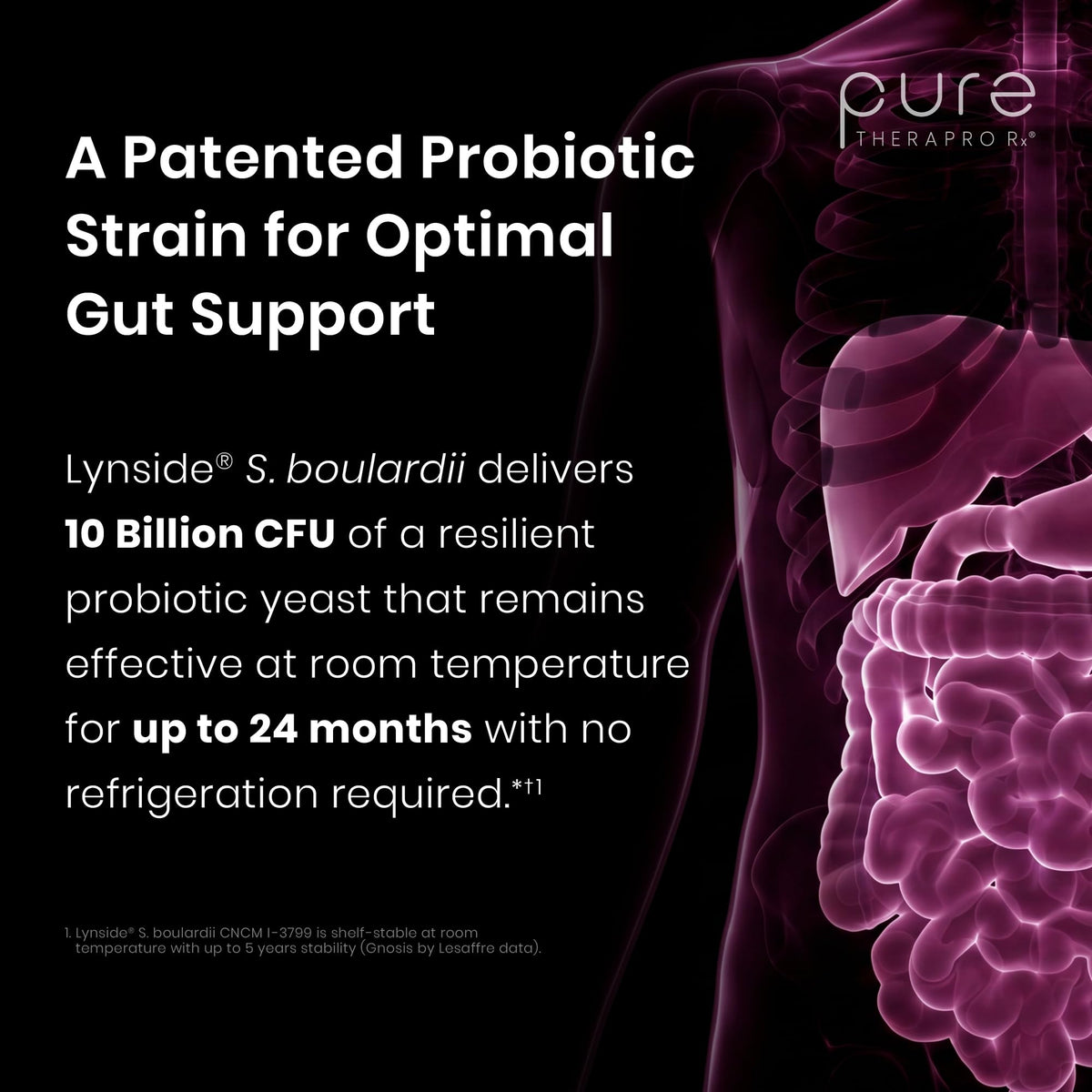 Saccharomyces Boulardii Probiotics 10 Billion CFU Made in USA | No Fillers Patented Strain: Lynside CNCM I-3799 Probiotics for Men and Women | Pure TheraPro Rx, Pharma Grade 120 Count - PrimeBioHealth - canada supplements