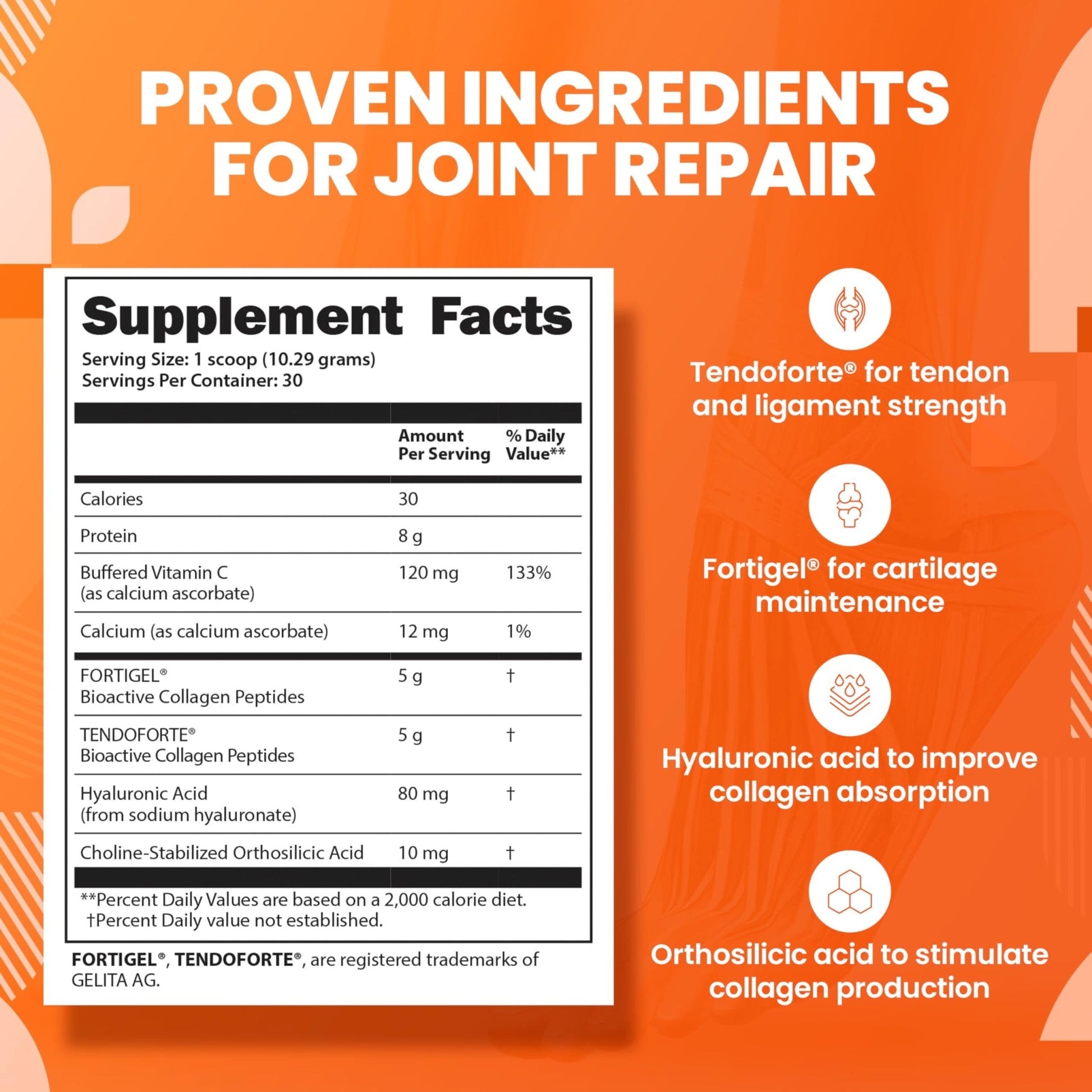 SaltWrap Collagen Synthesis - Collagen Peptides for Joints with Fortigel, Tendoforte, Best Collagen Powder for Tendons, Ligaments - PrimeBioHealth - canada supplements