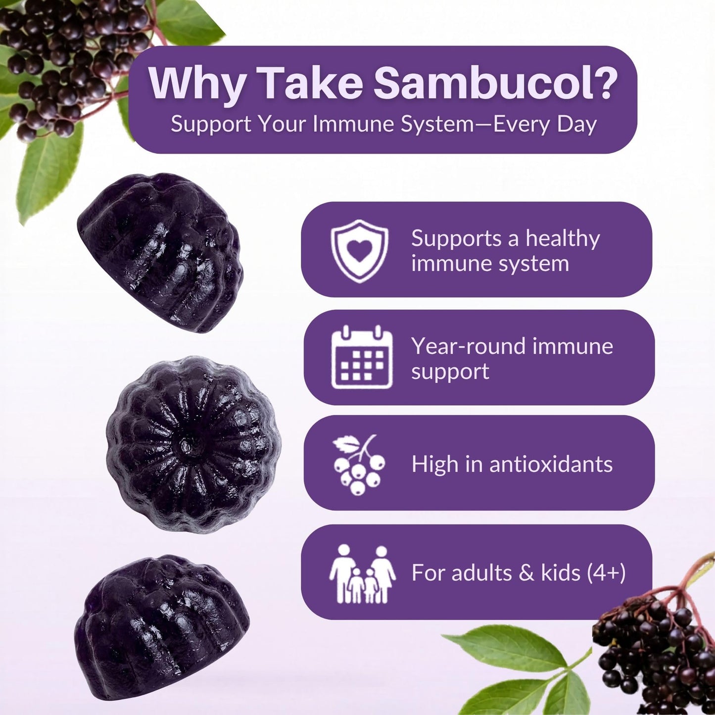 Sambucol Elderberry Gummies - Immune Support Supplement for Adults & Kids with Vitamin C & Zinc, Sambucol Elderberry - PrimeBioHealth - canada supplements