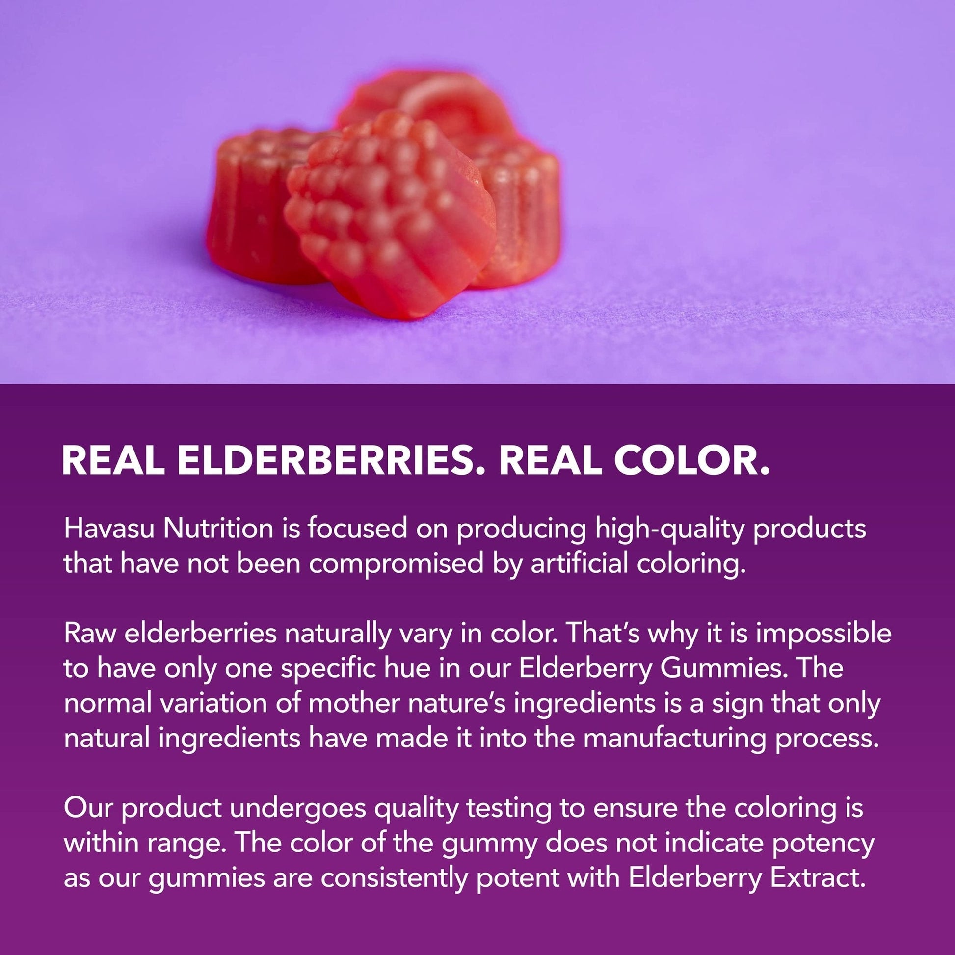 Sambucus Elderberry Gummies for Adults - Immune Support Supplement with Vitamin C and Zinc - Enhanced Formula for Daily Defense - 60 Count - PrimeBioHealth - canada supplements