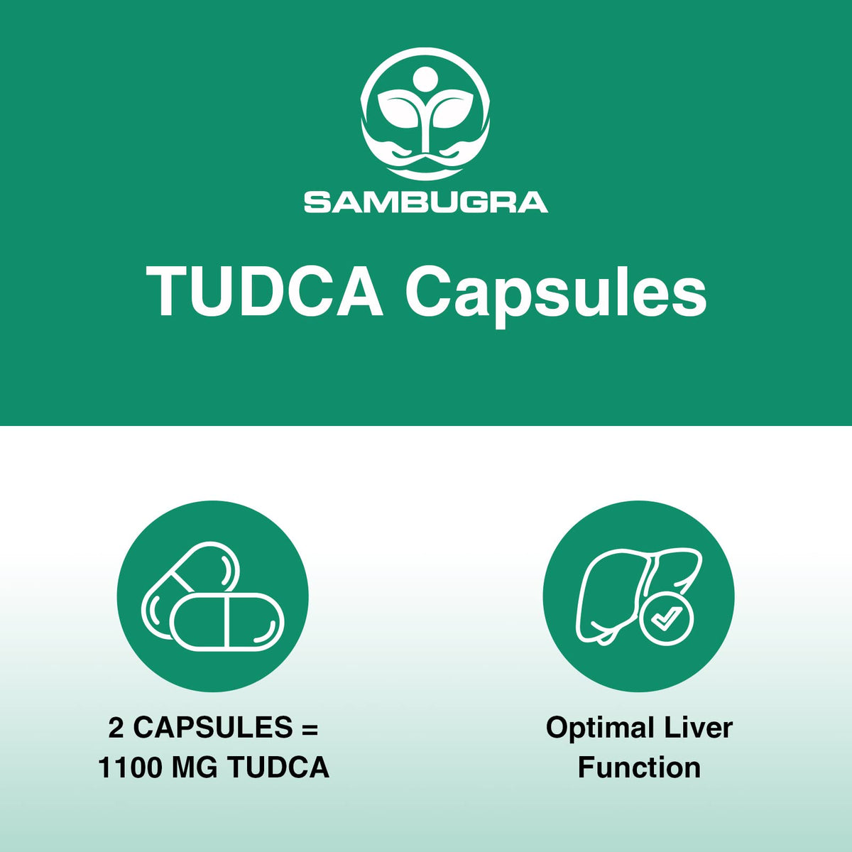 Sambugra TUDCA Liver Supplements 1100mg, 3rd Party Tested Ultra Strength Bile Salt TUDCA Supplement, Liver Support for Detox - PrimeBioHealth - canada supplements