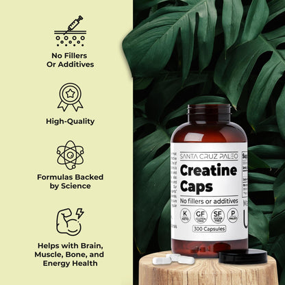 Santa Cruz Paleo Creatine Capsules, Supports Muscle Growth & Energy, Gluten Free, Keto, Sugar Free, Paleo, No Fillers or Additives, Creatine Monohydrate Pills, - PrimeBioHealth - canada supplements