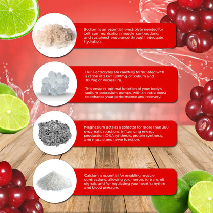 Santa Cruz Paleo Electrolyte Powder, Cherry Limeade, Sugar Free Hydration Drink Mix with Himalayan Pink Salt, Sea Salt, Magnesium Glycinate, Potassium Chloride - PrimeBioHealth - canada supplements