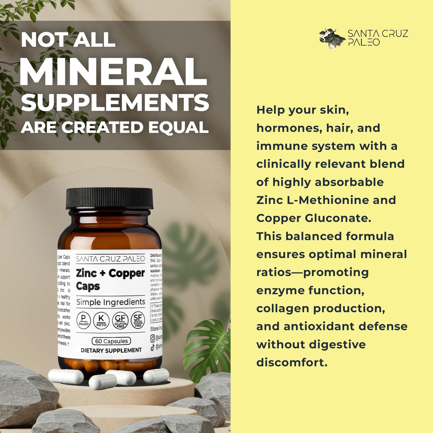 Santa Cruz Paleo, Zinc & Copper Mineral Supplement, High Absorption Formula, Zinc Supplement for Skin & Hair, L Methionine, Copper Gluconate, Trace Minerals - PrimeBioHealth - canada supplements