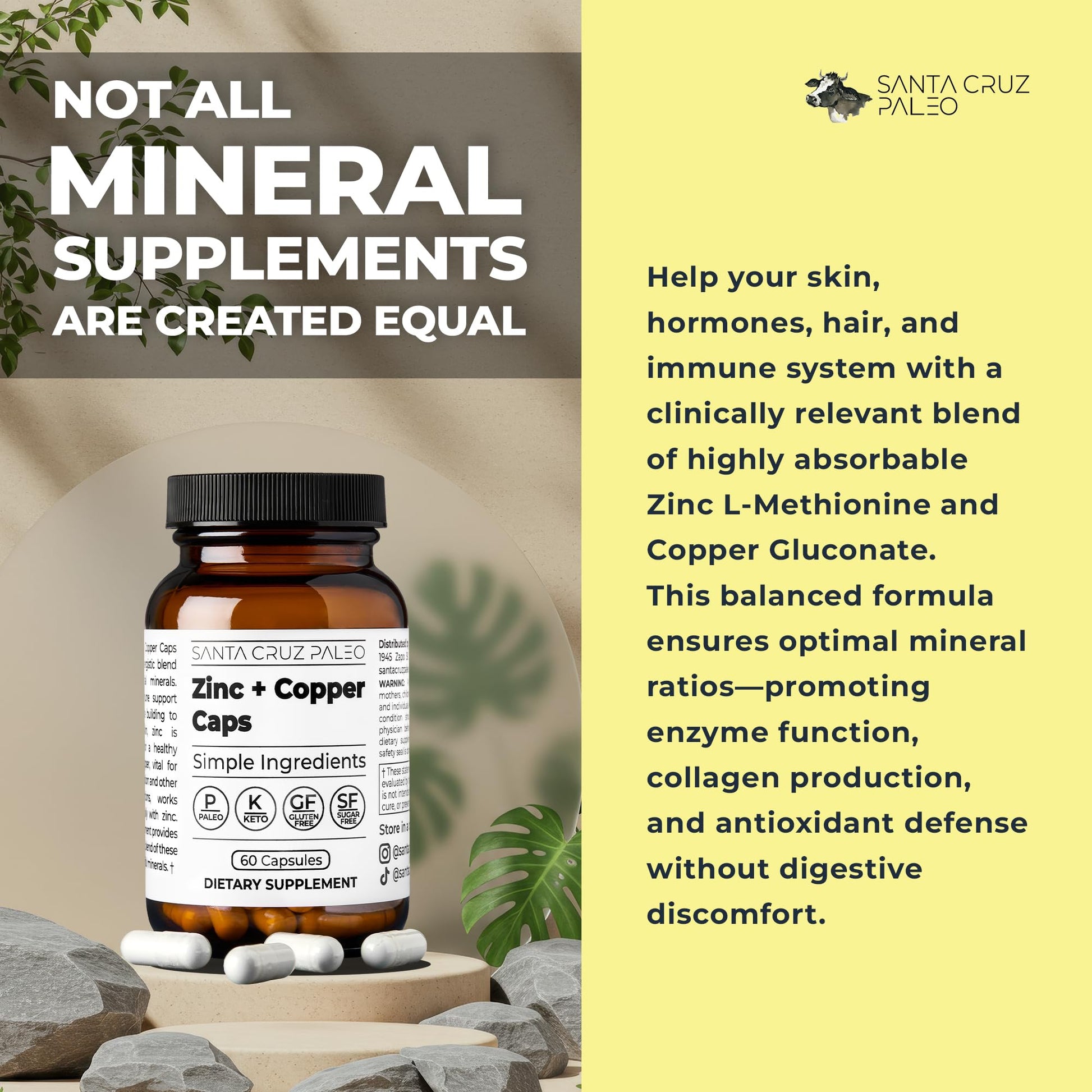 Santa Cruz Paleo, Zinc & Copper Mineral Supplement, High Absorption Formula, Zinc Supplement for Skin & Hair, L Methionine, Copper Gluconate, Trace Minerals - PrimeBioHealth - canada supplements