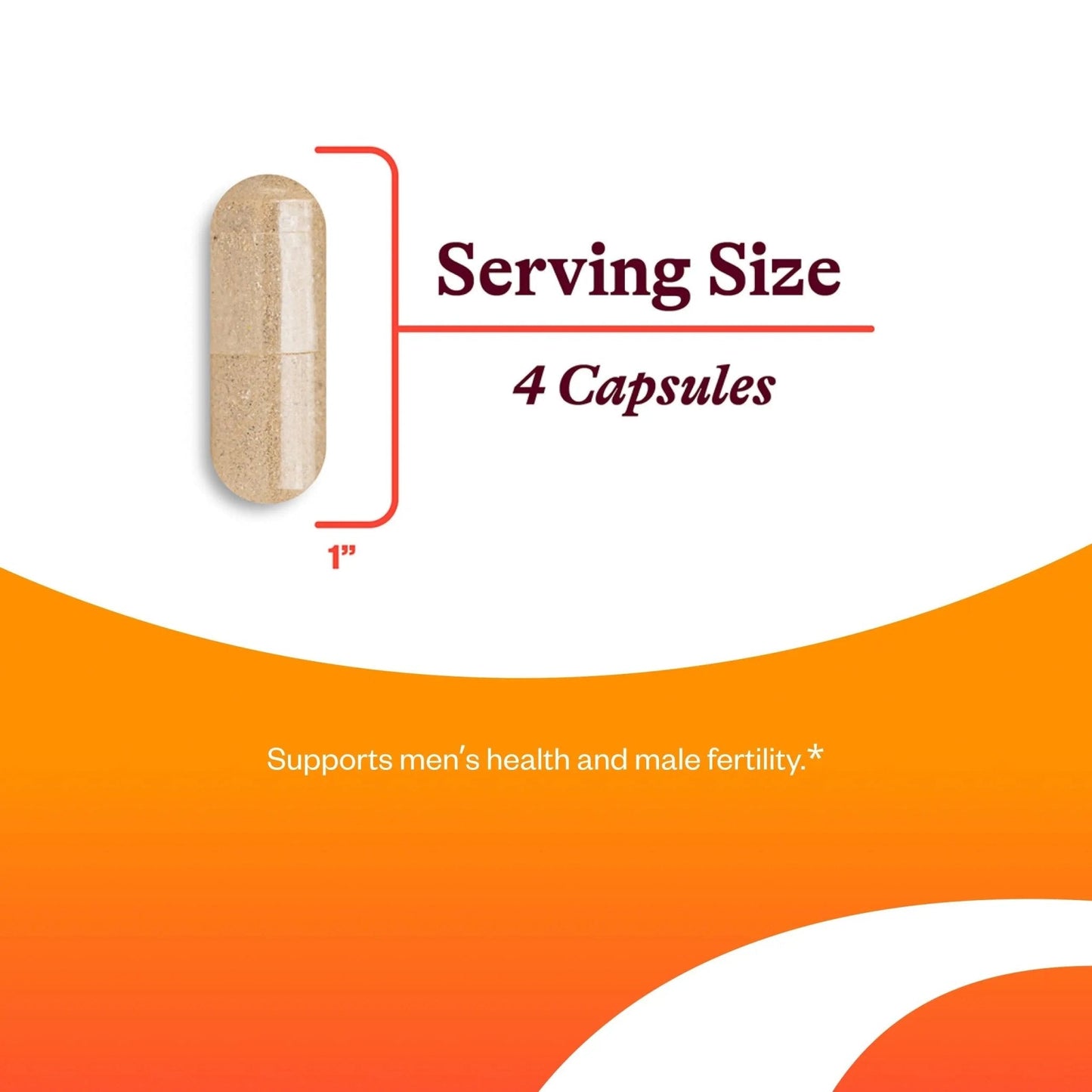 Seeking Health Optimal Man - Multivitamin Supplement with Zinc, Active Folate, & Alpha-Lipoic Acid - Multivitamin Supports Energy & Brain Health - Support Healthy Aging - PrimeBioHealth - canada supplements
