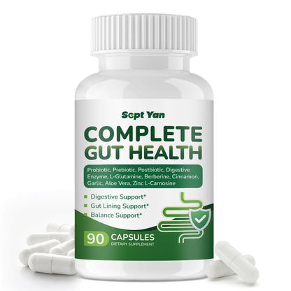 SEPT YAN Gut Health Supplement with Prebiotics, Postbiotics & Probiotics for Digestive Health for Women & Men, 80 Billion CFU Probiotics for Gut and Digestion - PrimeBioHealth - canada supplements