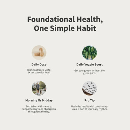 Snap Supplements Men's Multivitamins - Daily Vitamins & Minerals for Men - Vitamin D, B12, Zinc, Herbs & Vitamin C - PrimeBioHealth - canada supplements