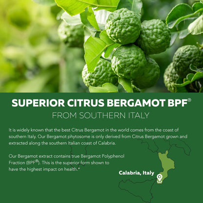 SoActive Bergamot: 2.5X More Effective, Italian Citrus Bergamot Phytosome - Clinically Validated | Enhanced with Grape Seed Extract - Supports Cholesterol & Weight Management (60 Capsules) - PrimeBioHealth - canada supplements