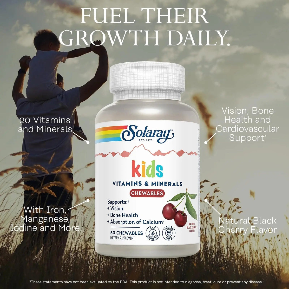 SOLARAY Childrens Vitamins & Minerals Complete Multivitamin for Kids Great Black Cherry Flavor - PrimeBioHealth - canada supplements