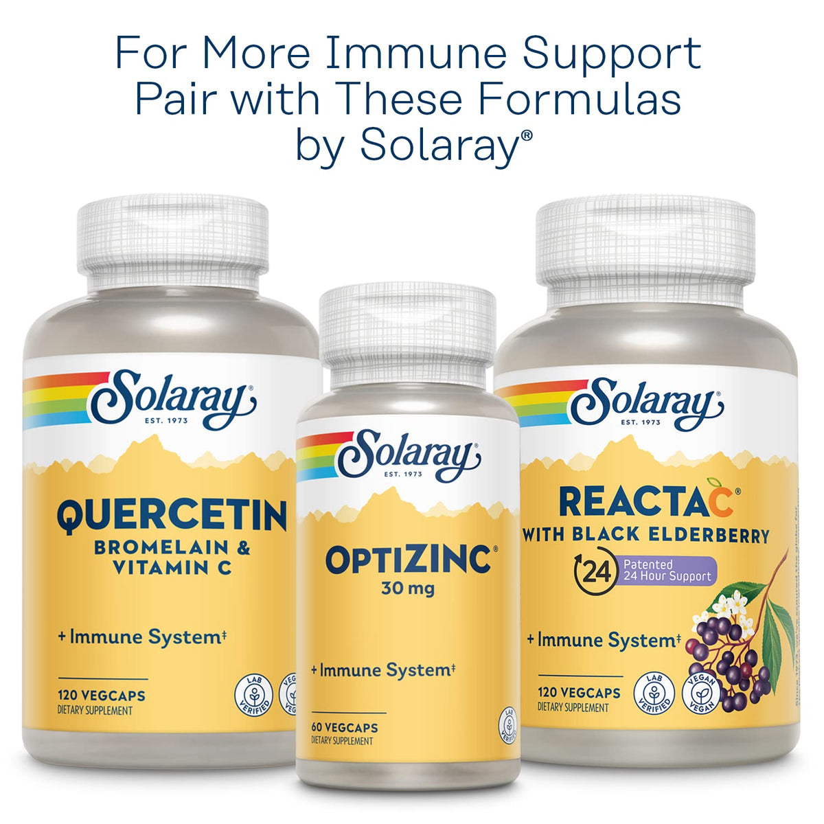 SOLARAY L-Lysine Monolaurin Immune Support Supplement, 1:1 Ratio for Immune System Function, 500 mg Each, 60-Day Money Back Guarantee - PrimeBioHealth - canada supplements