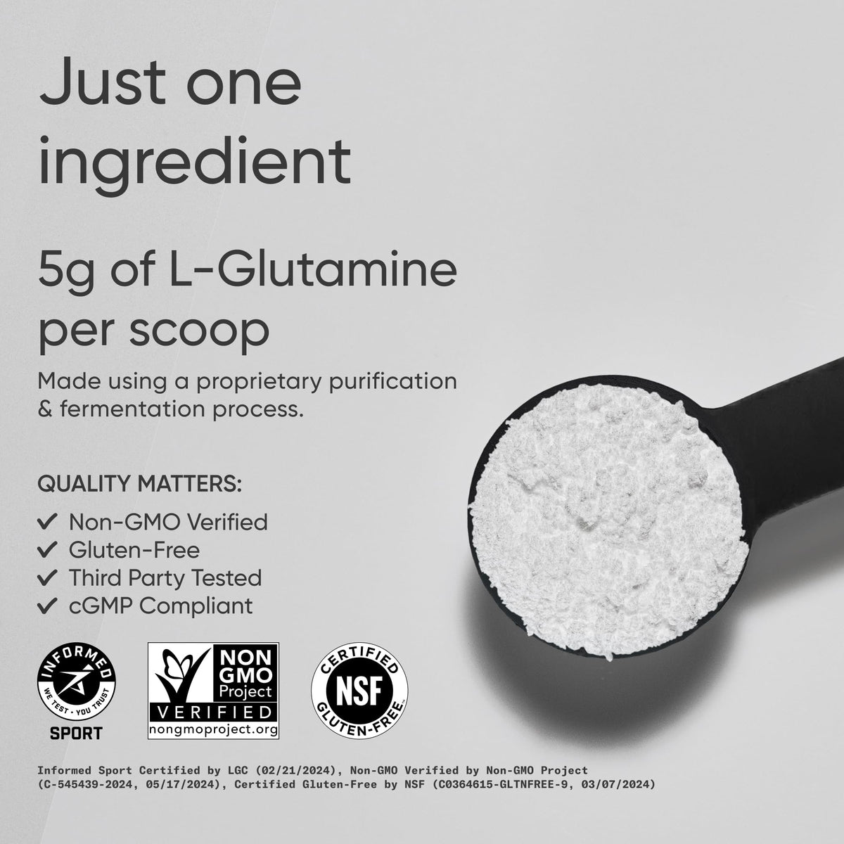 Sports Research L-Glutamine - Workout Recovery, Immune Health & Gut Health Support - 5 G Per Serving - 10.58 Oz - PrimeBioHealth - canada supplements