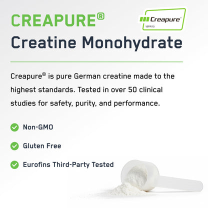 SteelFit Creapure Creatine Monohydrate Powder, Unflavored - German Micronized Creatine Powder for Men & Women - Gym Workout Nutritional Supplements for Muscle Gain - PrimeBioHealth - canada supplements