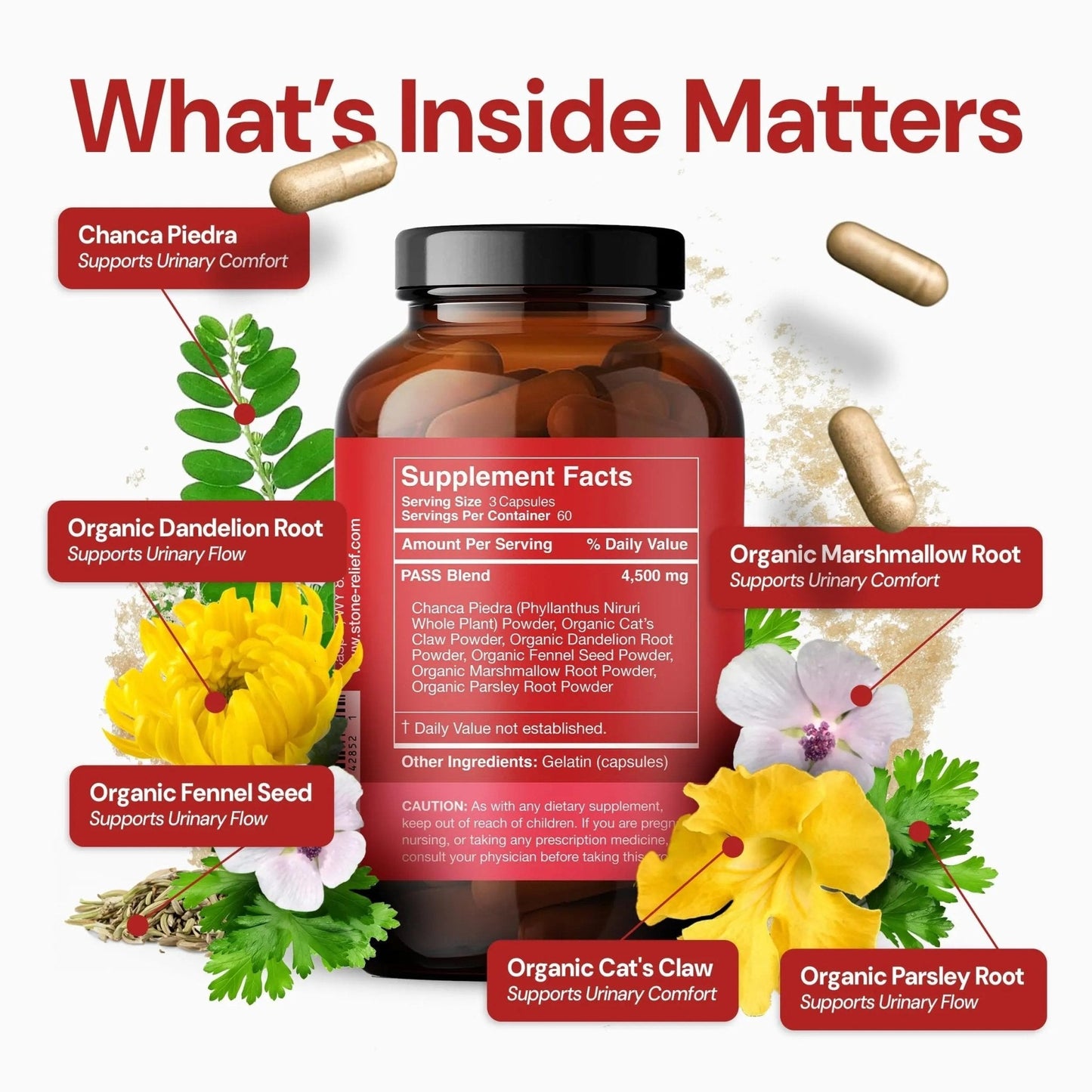 STONE RELIEF Daytime Herbal Kidney Support for Urinary Flow & Comfort | Chanca Piedra Formula – 180 Capsules - PrimeBioHealth - canada supplements
