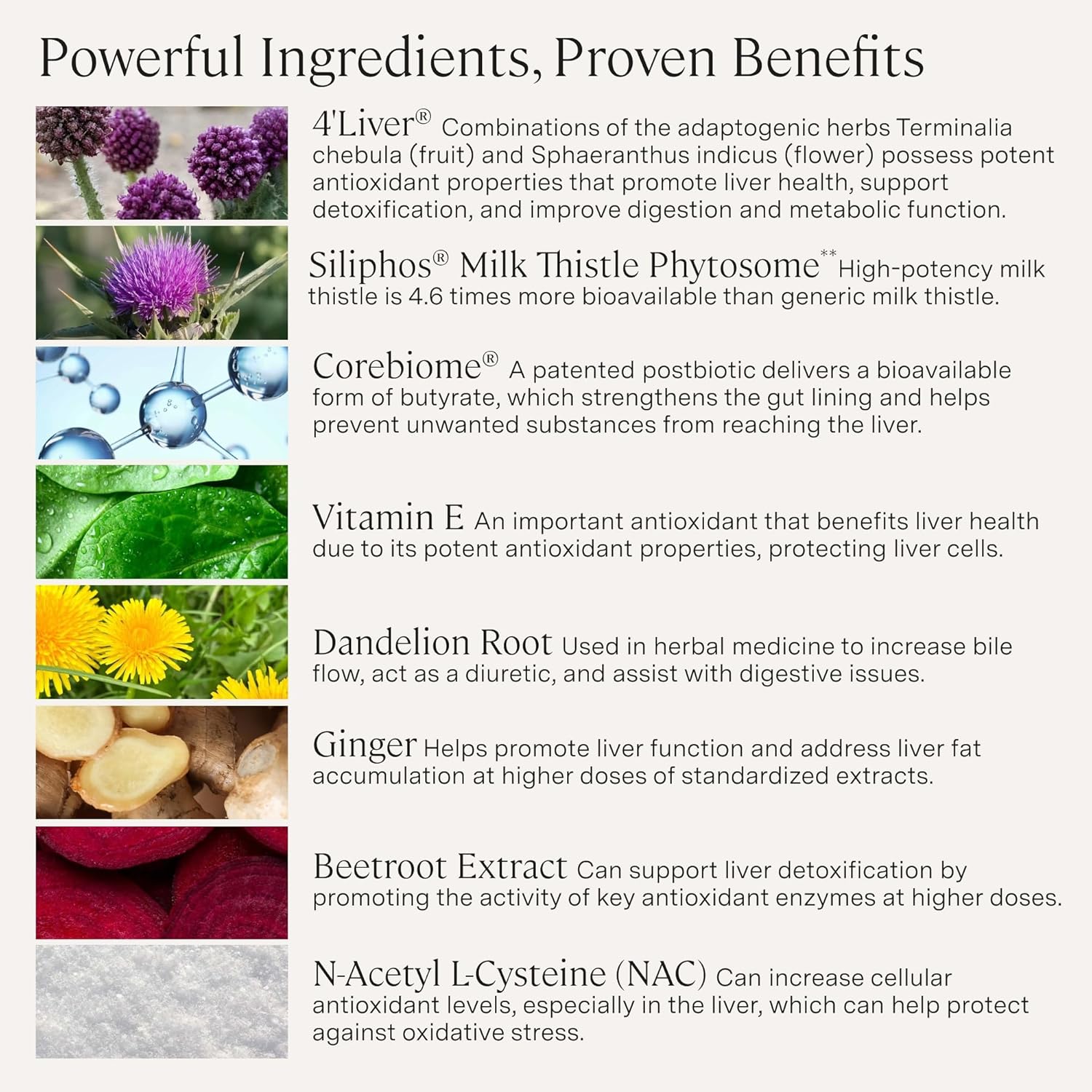 Stonehenge Health Dynamic Liver – Siliphos Milk Thistle Formula – Liver Support & Antioxidant Support, Gut-Liver Axis, Selenium, Zinc, Vitamin E, Ginger, Beetroot Extract Non-GMO, 60 Veg Caps (3 Pack) - PrimeBioHealth - canada supplements