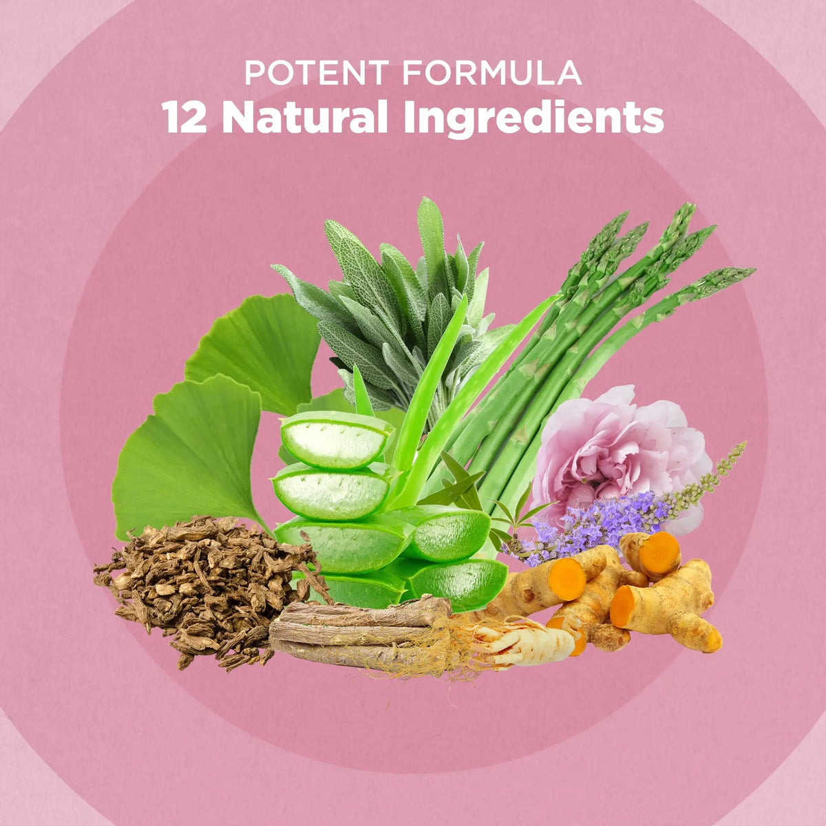 Strength & Spices Hormone Balance 100% Natural Estrogen Supplement – 12 Ingredients w Dong Quai - 60 Vegan UK Made 1000mg Capsules – Fertility and Menstrual Comfort - PrimeBioHealth - canada supplements