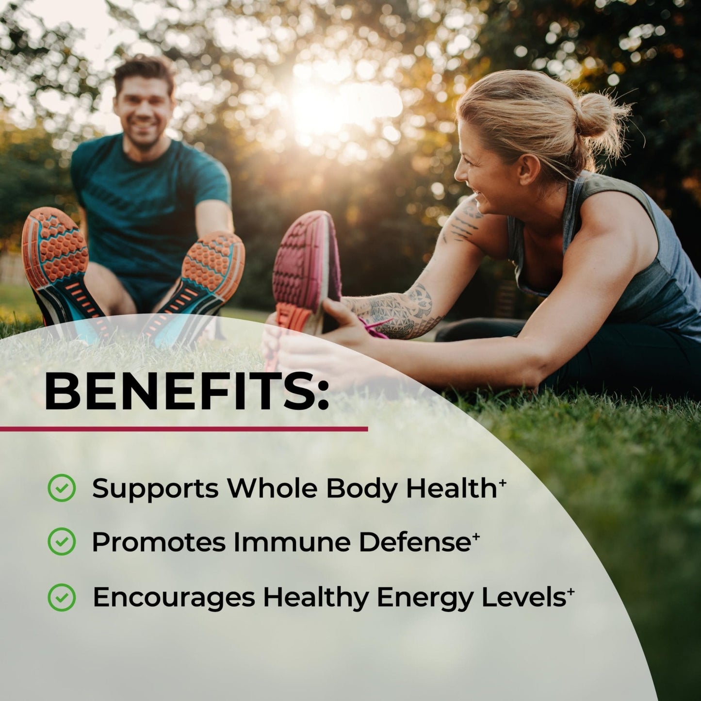 Sugar Free Beet Root Gummies - Nitric Oxide Gummies Infused with Coconut Oil for Highest Absorption - Supports Energy & Whole Body Health - PrimeBioHealth - canada supplements