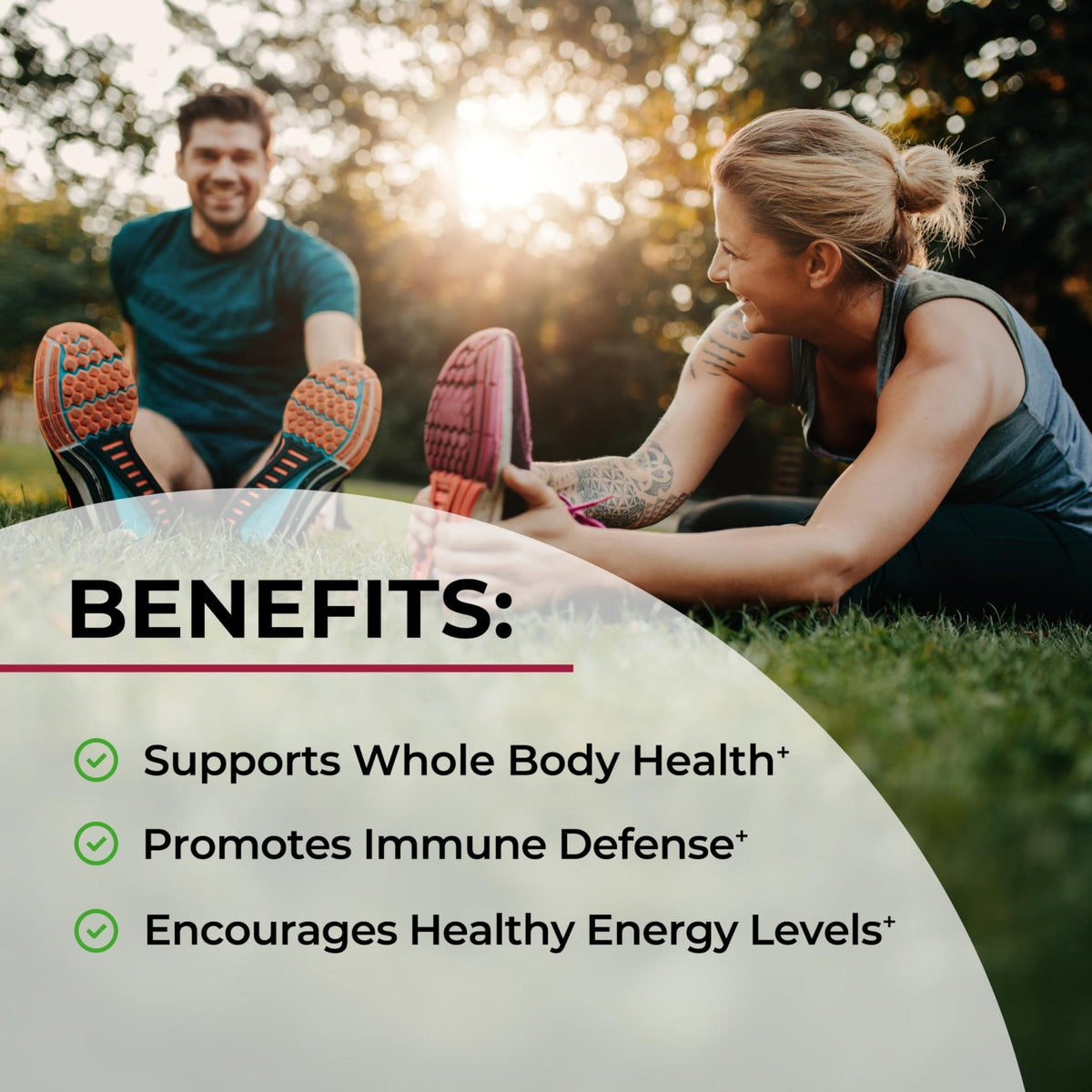 Sugar Free Beet Root Gummies - Nitric Oxide Gummies Infused with Coconut Oil for Highest Absorption - Supports Energy & Whole Body Health - PrimeBioHealth - canada supplements