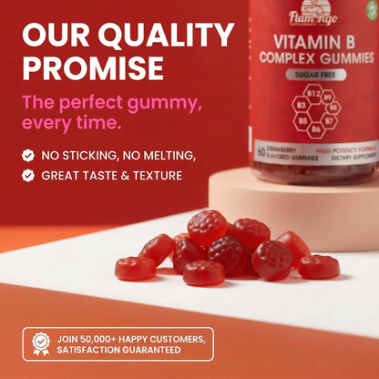 Sugar Free Vitamin B Complex Gummies - Vitamin B12, B7, B6, B3 (Niacin), B5, B8, B9 (Folate)- Third Party Tested- Prenatal, Vegan Diet, Older Adults - PrimeBioHealth - canada supplements