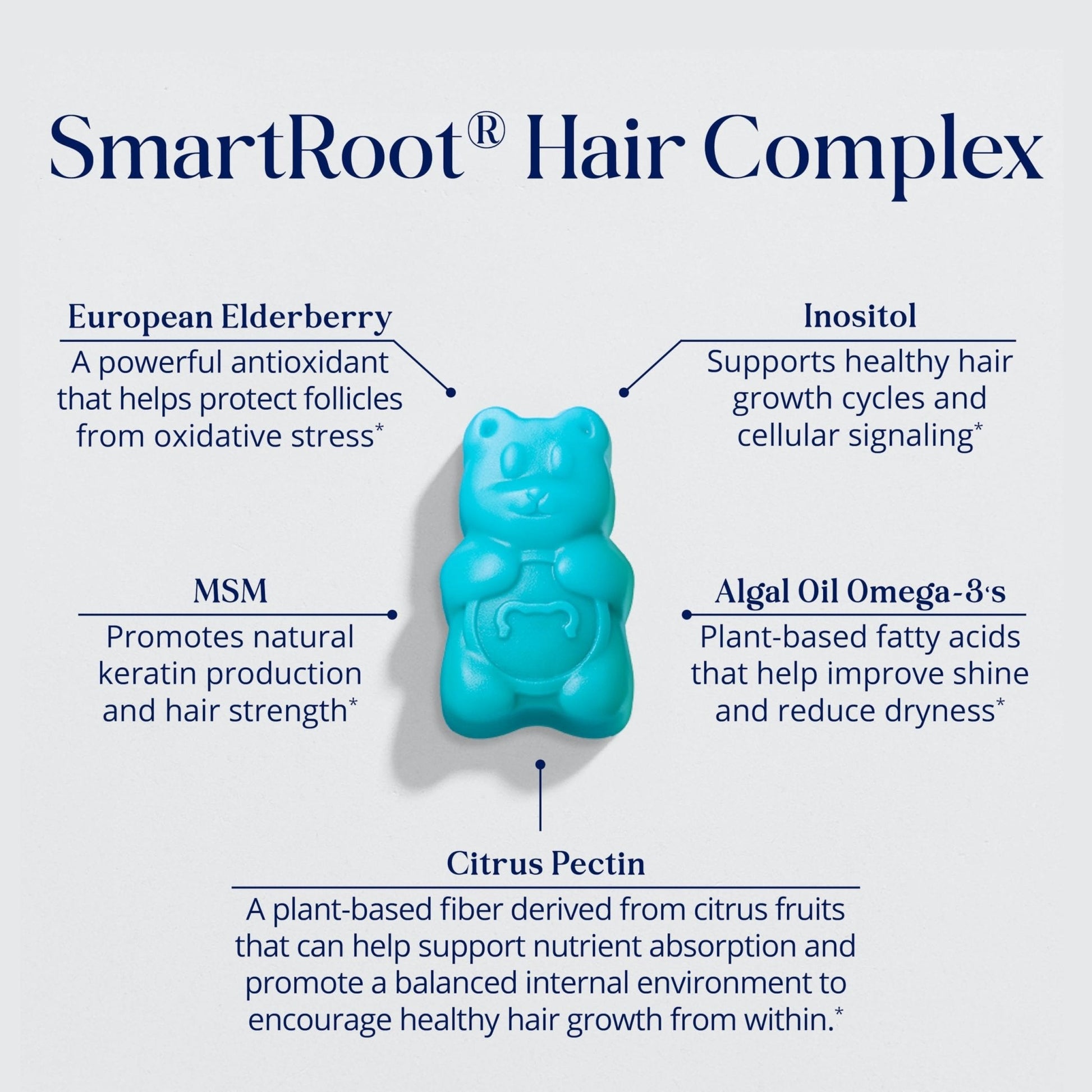 Sugarbear Hair Vitamin Gummy 2 Month Supply Extra Strength Biotin 6000mcg, Growth for Men & Women, Vegan Vitamin B12, MSM, Inositol, Omega 3, Elderberry, Certified Kosher, Halal, Cruelty-Free - PrimeBioHealth - canada supplements