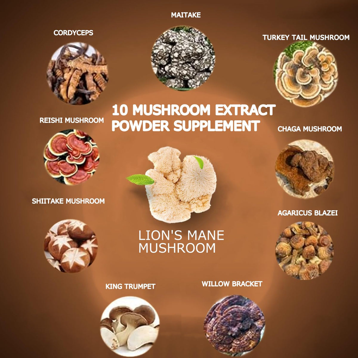 Suiyilary Mushroom Coffee, 10 Mushroom Extract Powder Blend Lion's Mane, Reishi, Chaga - PrimeBioHealth - canada supplements