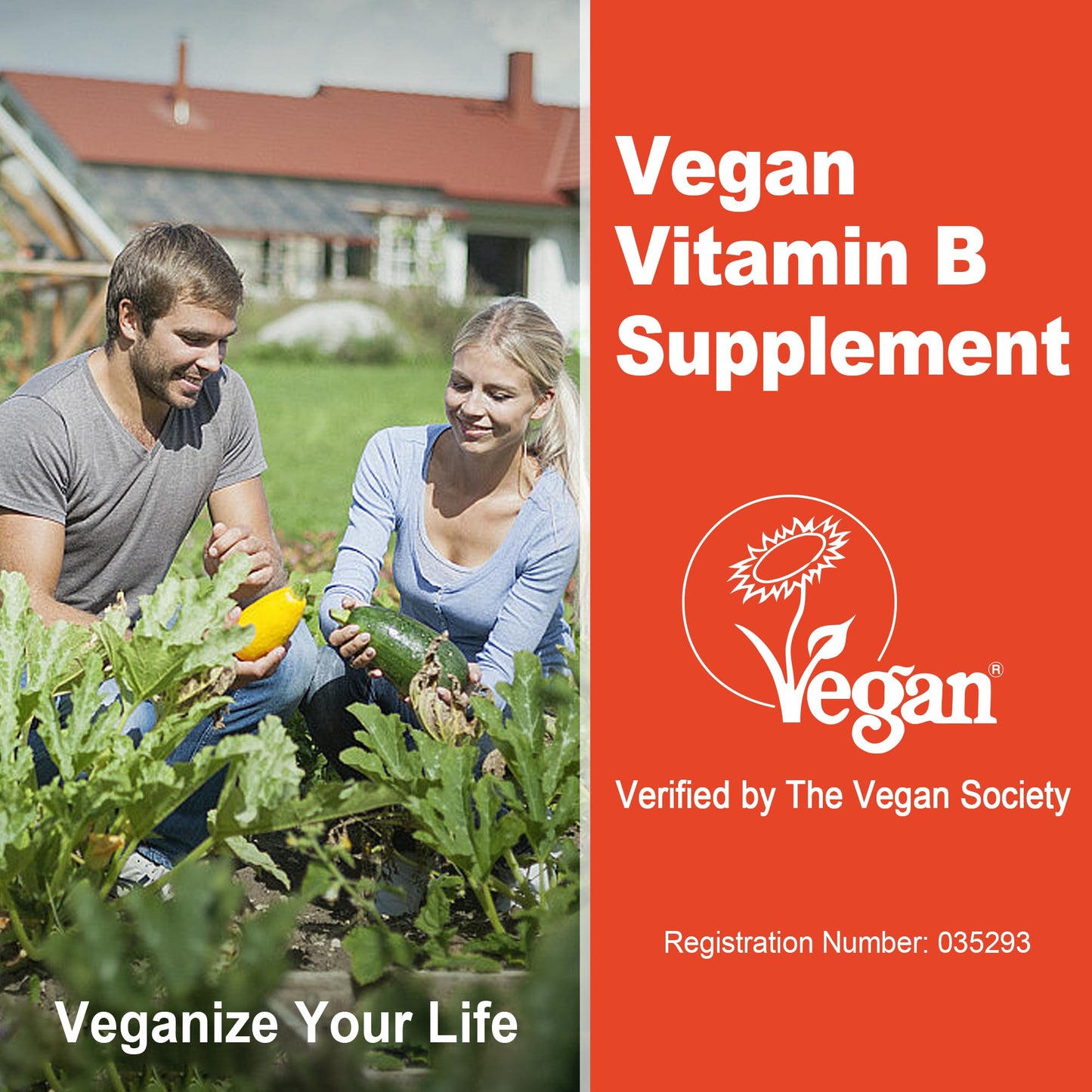 Super Methylated Vitamin B Complex Gummies - All B Vitamins + Omega-3, Magnesium, CoQ10, Ashwagandha,Vitamin C, TMG- For Women Men- Methyl B12 2000 mcg, Methylfolate - PrimeBioHealth - canada supplements