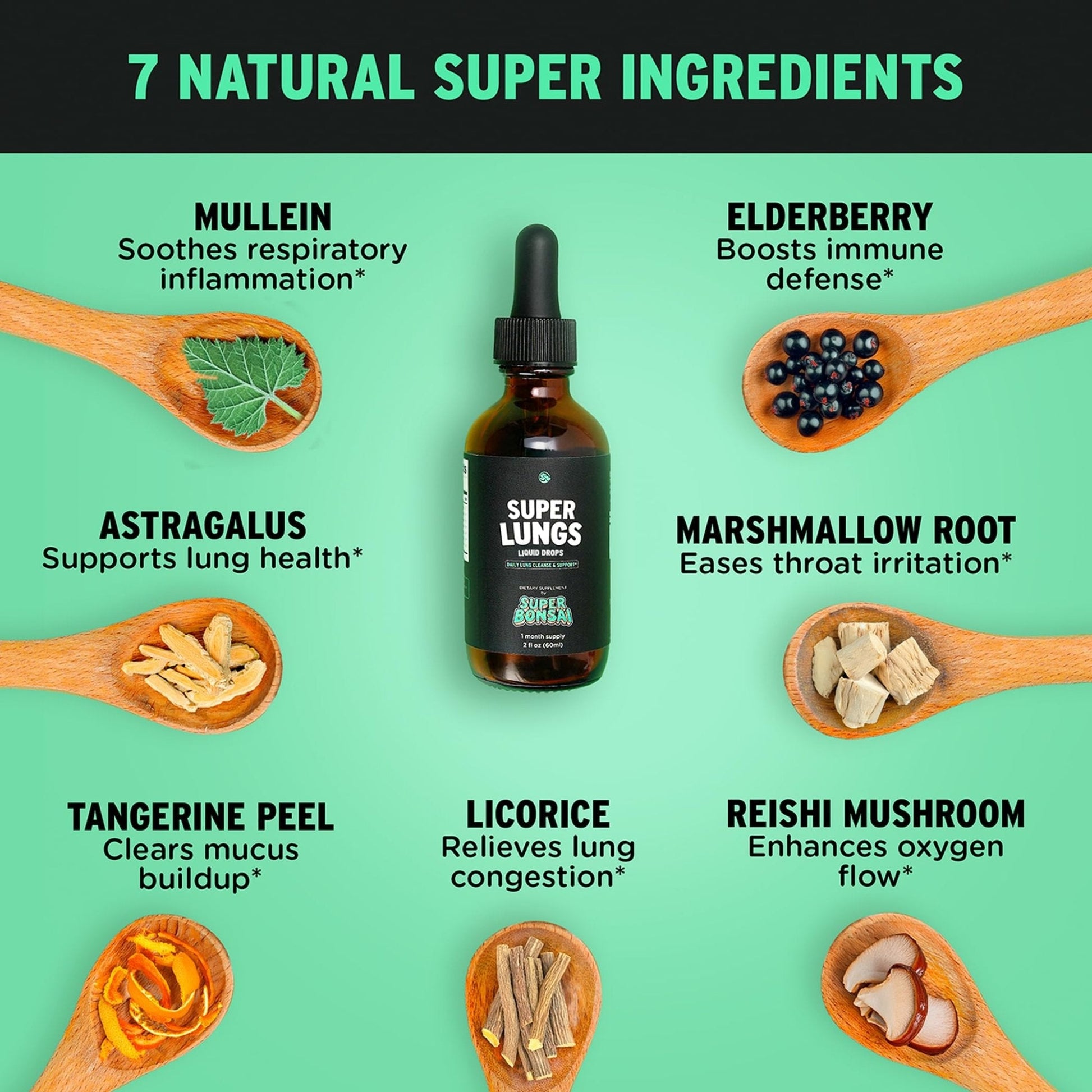 SuperBonsai Super Lungs Mullein Drops – Herbal Lung Support Tincture with Mullein Leaf Extract Elderberry Reishi Marshmallow Root - PrimeBioHealth - canada supplements