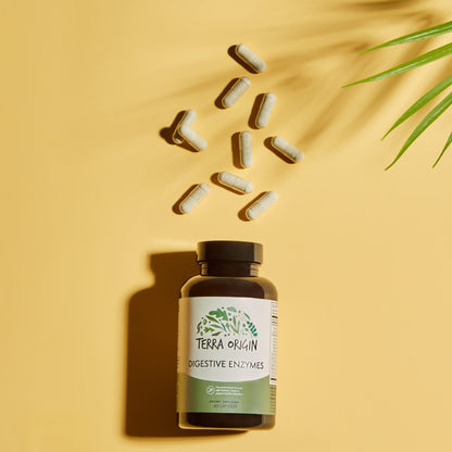 TERRA ORIGIN Digestive Enzymes with Probiotics & Prebiotics | 60 Capsules | Supports Digestive Gut Health | Non GMO, Gluten Free, - PrimeBioHealth - canada supplements