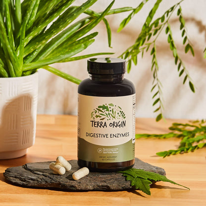 TERRA ORIGIN Digestive Enzymes with Probiotics & Prebiotics | 60 Capsules | Supports Digestive Gut Health | Non GMO, Gluten Free, - PrimeBioHealth - canada supplements